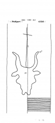 Wasserzeichen DE8085-PO-61543