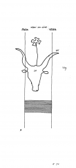 DE8085-PO-63198 - Typ:1 - ID: 71805 - Eintrag Nr.: 70 Wasserzeichen DE8085-PO-63198