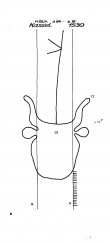 DE8085-PO-63645 - Typ:1 - ID: 72123 - Eintrag Nr.: 30 Wasserzeichen DE8085-PO-63645