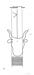 DE8085-PO-63647 - Typ:1 - ID: 72124 - Eintrag Nr.: 31 Wasserzeichen DE8085-PO-63647