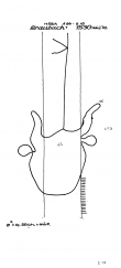 DE8085-PO-63648 - Typ:1 - ID: 72125 - Eintrag Nr.: 32 Wasserzeichen DE8085-PO-63648