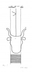 DE8085-PO-63650 - Typ:1 - ID: 72127 - Eintrag Nr.: 34 Wasserzeichen DE8085-PO-63650