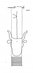 DE8085-PO-63651 - Typ:1 - ID: 72128 - Eintrag Nr.: 35 Wasserzeichen DE8085-PO-63651