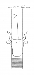 DE8085-PO-63652 - Typ:1 - ID: 72129 - Eintrag Nr.: 36 Wasserzeichen DE8085-PO-63652