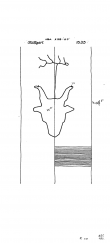 Wasserzeichen DE8085-PO-63779