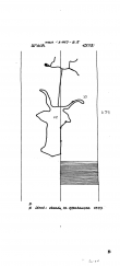 Wasserzeichen DE8085-PO-63881