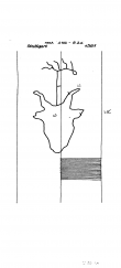DE8085-PO-63909 - Typ:1 - ID: 72327 - Eintrag Nr.: 89 Wasserzeichen DE8085-PO-63909