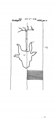 DE8085-PO-64000 - Typ:1 - ID: 72416 - Eintrag Nr.: 178 Wasserzeichen DE8085-PO-64000