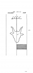 DE8085-PO-64029 - Typ:1 - ID: 72443 - Eintrag Nr.: 205 Wasserzeichen DE8085-PO-64029