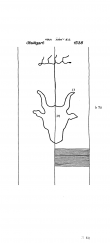 DE8085-PO-64031 - Typ:1 - ID: 72445 - Eintrag Nr.: 207 Wasserzeichen DE8085-PO-64031