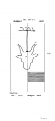 DE8085-PO-64036 - Typ:1 - ID: 72450 - Eintrag Nr.: 212 Wasserzeichen DE8085-PO-64036