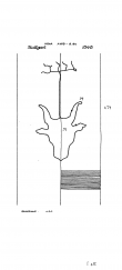 DE8085-PO-64049 - Typ:1 - ID: 72463 - Eintrag Nr.: 225 Wasserzeichen DE8085-PO-64049