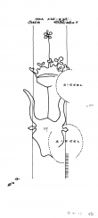 Wasserzeichen DE8085-PO-64151