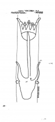 Wasserzeichen DE8085-PO-64228