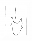 DE8100-CodHist2242_999 - Typ:0 - ID: 75726 - Eintrag Nr.: 123 Wasserzeichen DE8100-CodHist2242_999