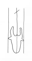 Wasserzeichen DE8100-CodMed25_999a