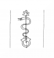 DE8100-CodMed422_999a - Typ:0 - ID: 76117 - Eintrag Nr.: 118 Wasserzeichen DE8100-CodMed422_999a