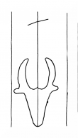 Wasserzeichen DE8100-CodTheol2158a_999