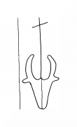 Wasserzeichen DE8100-CodTheol2158b_424