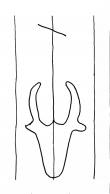 Wasserzeichen DE8100-CodTheol2170_999a