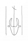 Wasserzeichen DE8100-CodTheol2174_281