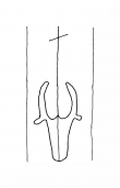 Wasserzeichen DE8100-CodTheol217_999a