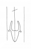 Wasserzeichen DE8100-CodTheol2180_999a