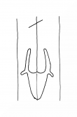 Wasserzeichen DE8100-CodTheol2181_999a