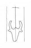 Wasserzeichen DE8100-CodTheol2198_999