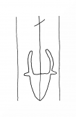 Wasserzeichen DE8100-CodTheol222_999