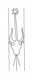 Wasserzeichen DE8100-CodTheol224_999