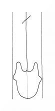 Wasserzeichen DE8100-CodTheol2297_101