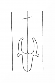 Wasserzeichen DE8100-CodTheol236_999