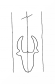 Wasserzeichen DE8100-CodTheol24_999d