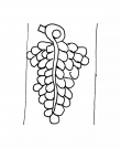 Wasserzeichen DE8100-CodTheol254_999b