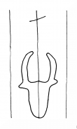 Wasserzeichen DE8100-CodTheol274_999