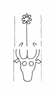 Wasserzeichen DE8100-CodTheol4144_999