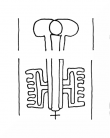 Wasserzeichen DE8100-CodTheol4198_999