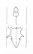 Wasserzeichen DE8100-CodTheol456_999b