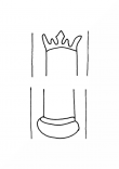 Wasserzeichen DE8100-CodTheol488_999