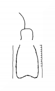 Wasserzeichen DE8100-CodTheol498_999