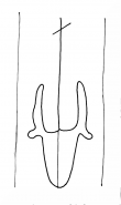 DE8100-HBI187_77 - Typ:0 - ID: 77115 - Eintrag Nr.: 3997 Wasserzeichen DE8100-HBI187_77