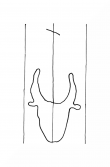 Wasserzeichen DE8100-HBV22_173