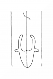 DE8100-HBV70_999 - Typ:0 - ID: 77641 - Eintrag Nr.: 173 Wasserzeichen DE8100-HBV70_999