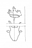 Wasserzeichen DE8100-HBXI48_185