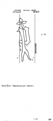 Wasserzeichen DE8100-PO-111282