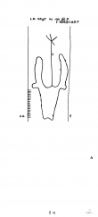 DE8100-PO-61958 - Typ:1 - ID: 81303 - Eintrag Nr.: 239 Wasserzeichen DE8100-PO-61958