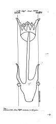 Wasserzeichen DE8100-PO-64226