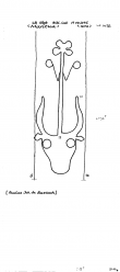 DE8100-PO-70471 - Typ:1 - ID: 81921 - Eintrag Nr.: 115 Wasserzeichen DE8100-PO-70471