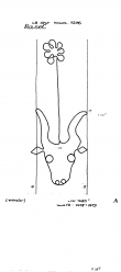 DE8100-PO-71729 - Typ:1 - ID: 82051 - Eintrag Nr.: 52 Wasserzeichen DE8100-PO-71729